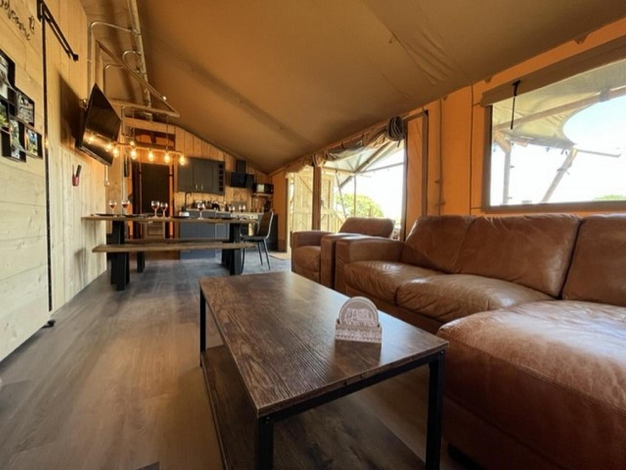 Jungle Book Safari Tent Tenby Room photo